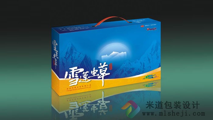 乙肝解读胶囊包装盒设计