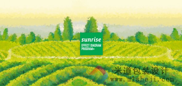 乳酸菌饮料标签 运动饮料 果汁饮料