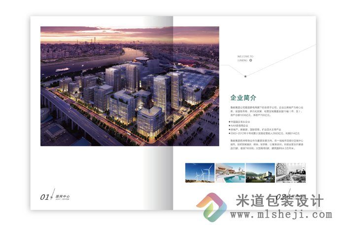 企业形象画册设计  公司简介